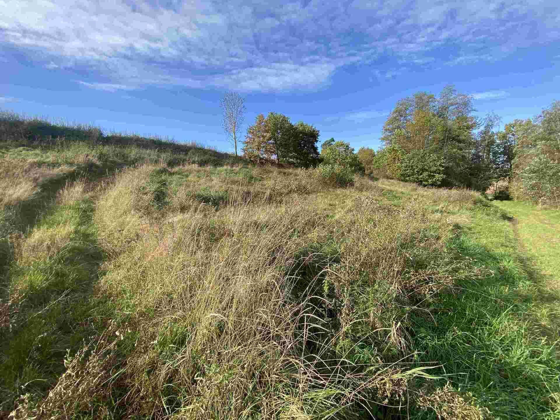 prodej pozemku k.ú. Stadice