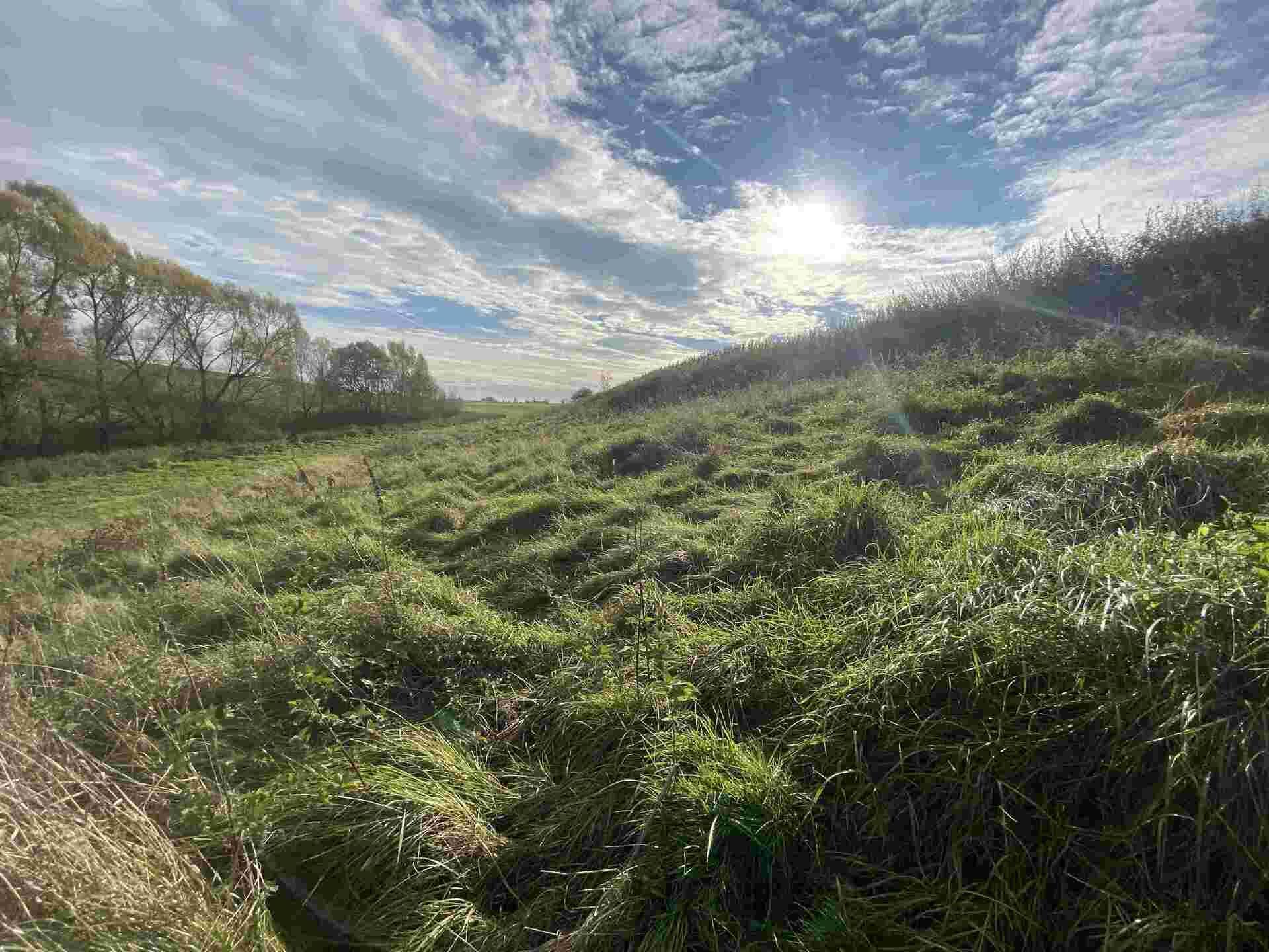 prodej pozemku k.ú. Stadice