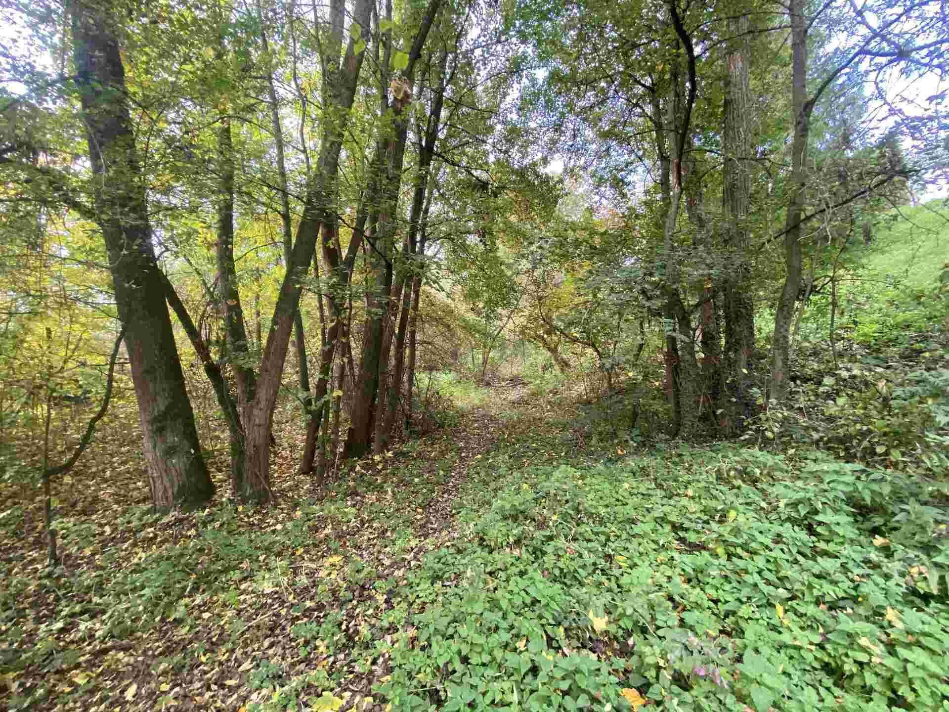 prodej pozemku k.ú. Svijany