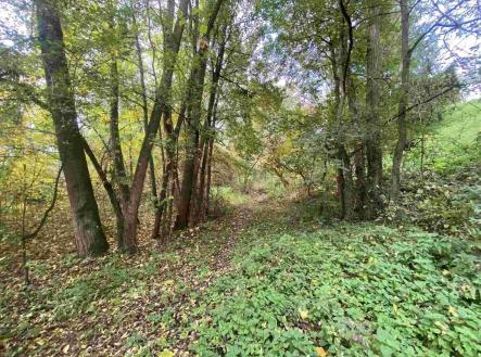 Prodej - pozemek, ostatní, 1 003 m²