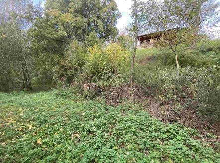 Prodej - pozemek, ostatní, 1 003 m²