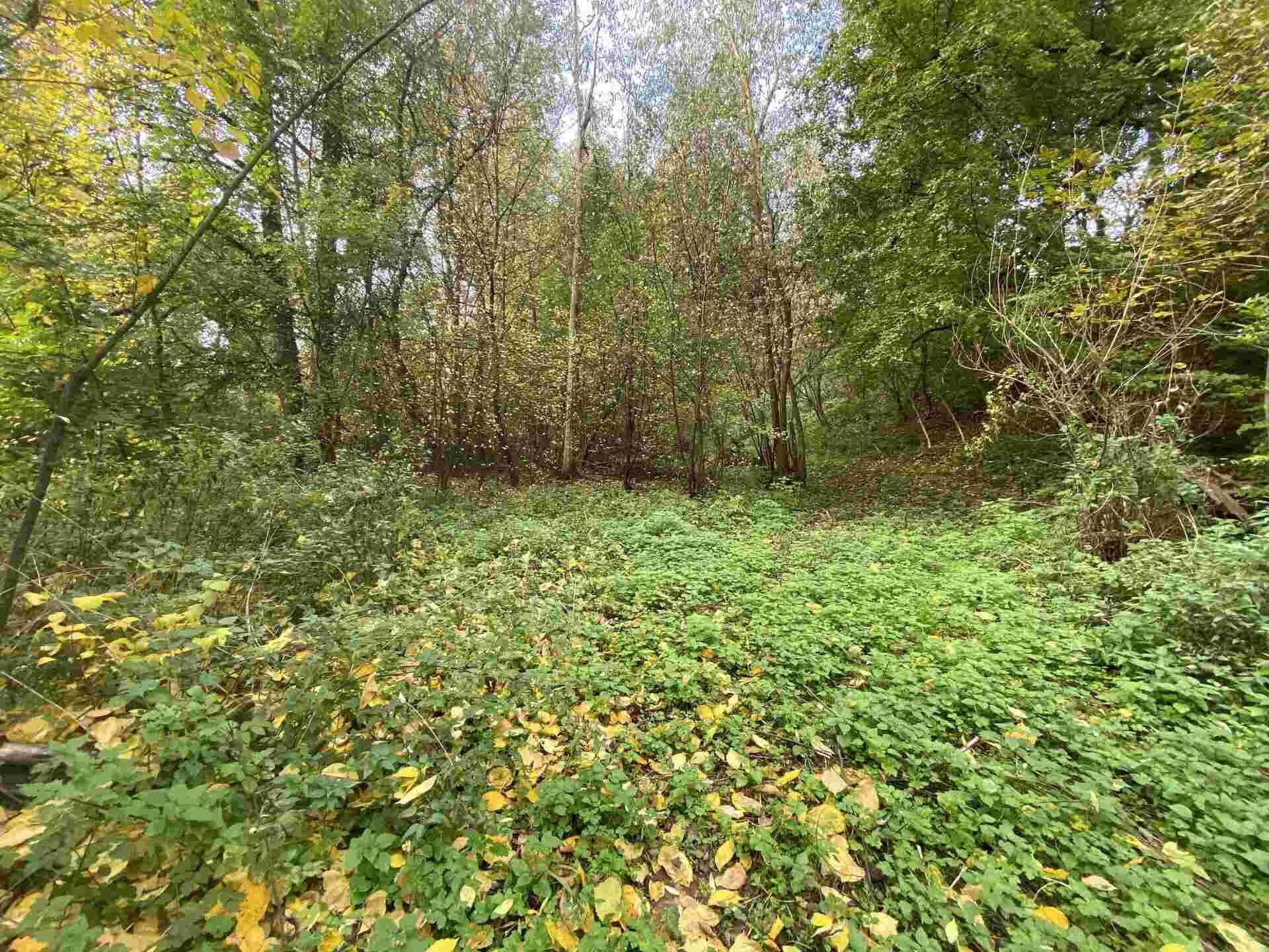 prodej pozemku k.ú. Svijany