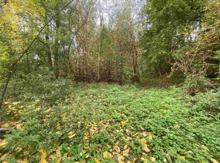 Prodej - pozemek, ostatní, 1 003 m²