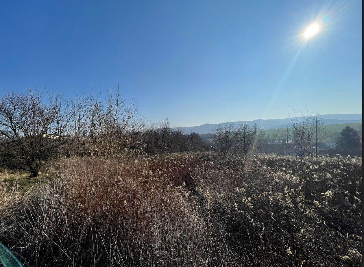 Dražba pozemku Jestřabice