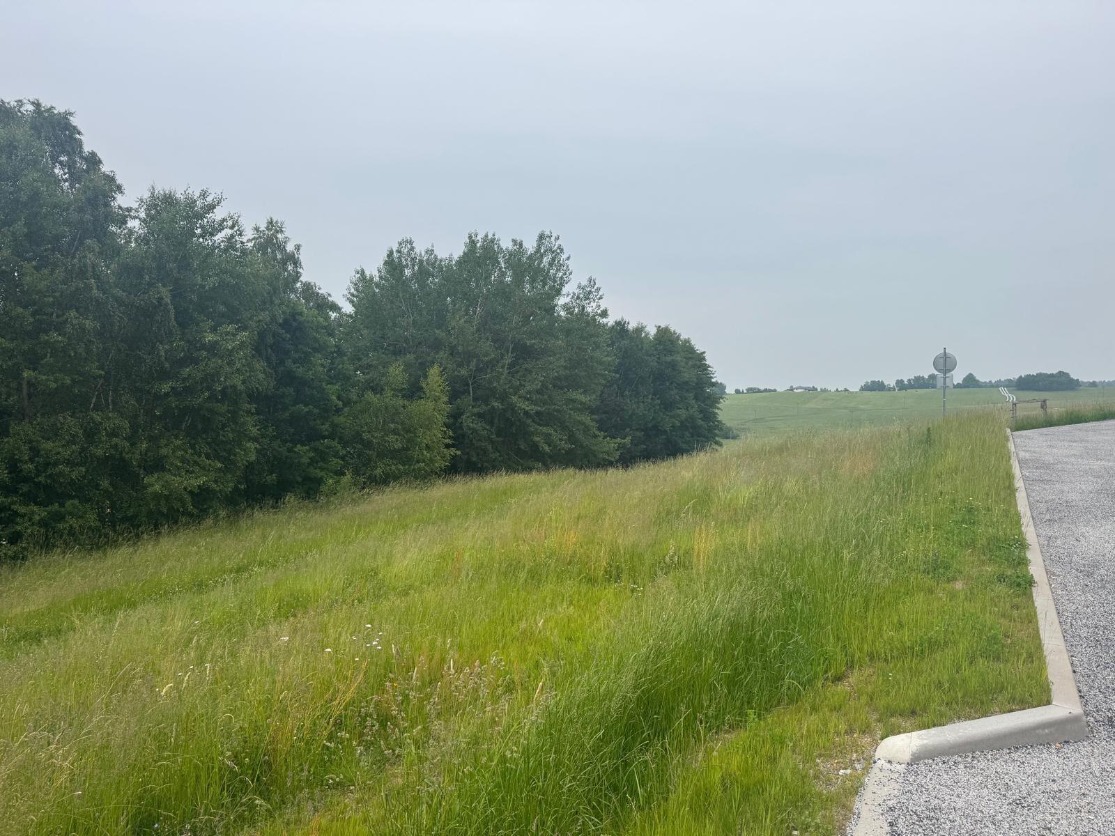 Prodej pozemku Dobrkovská Lhotka