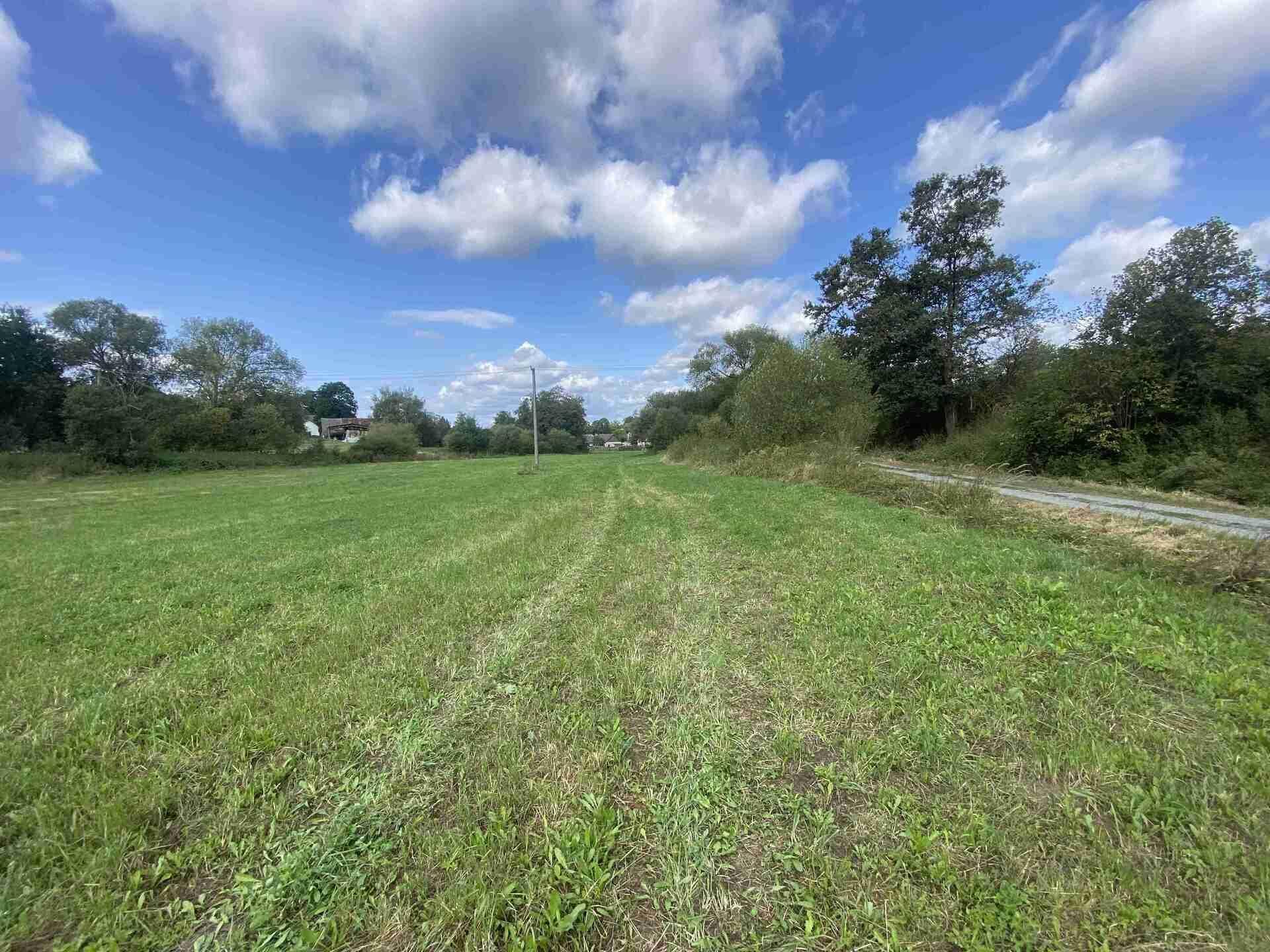 prodej pozemku k.ú. Čečovice