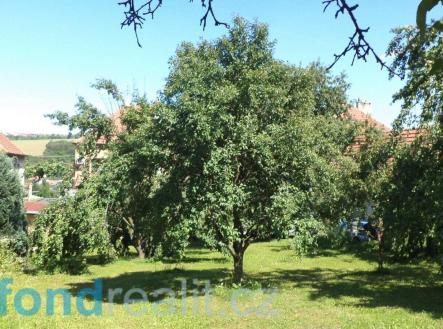 . | Prodej - pozemek, ostatní, 10 906 m²