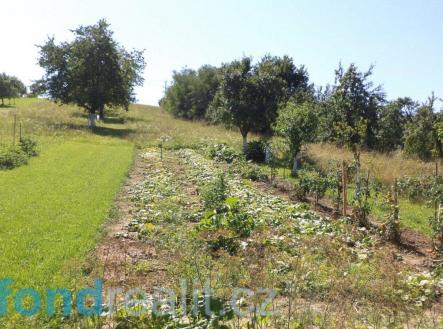 . | Prodej - pozemek, ostatní, 10 906 m²