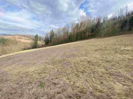 Prodej - pozemek, zemědělská půda, 29 899 m²