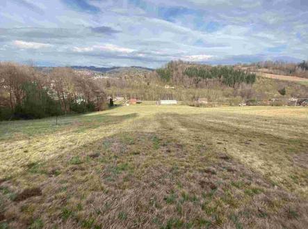 Prodej - pozemek, zemědělská půda, 28 783 m²