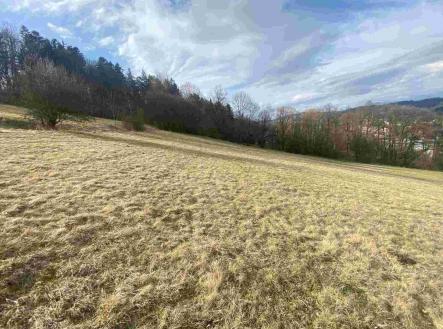 Prodej - pozemek, zemědělská půda, 28 783 m²