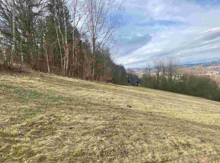 Prodej - pozemek, zemědělská půda, 28 783 m²