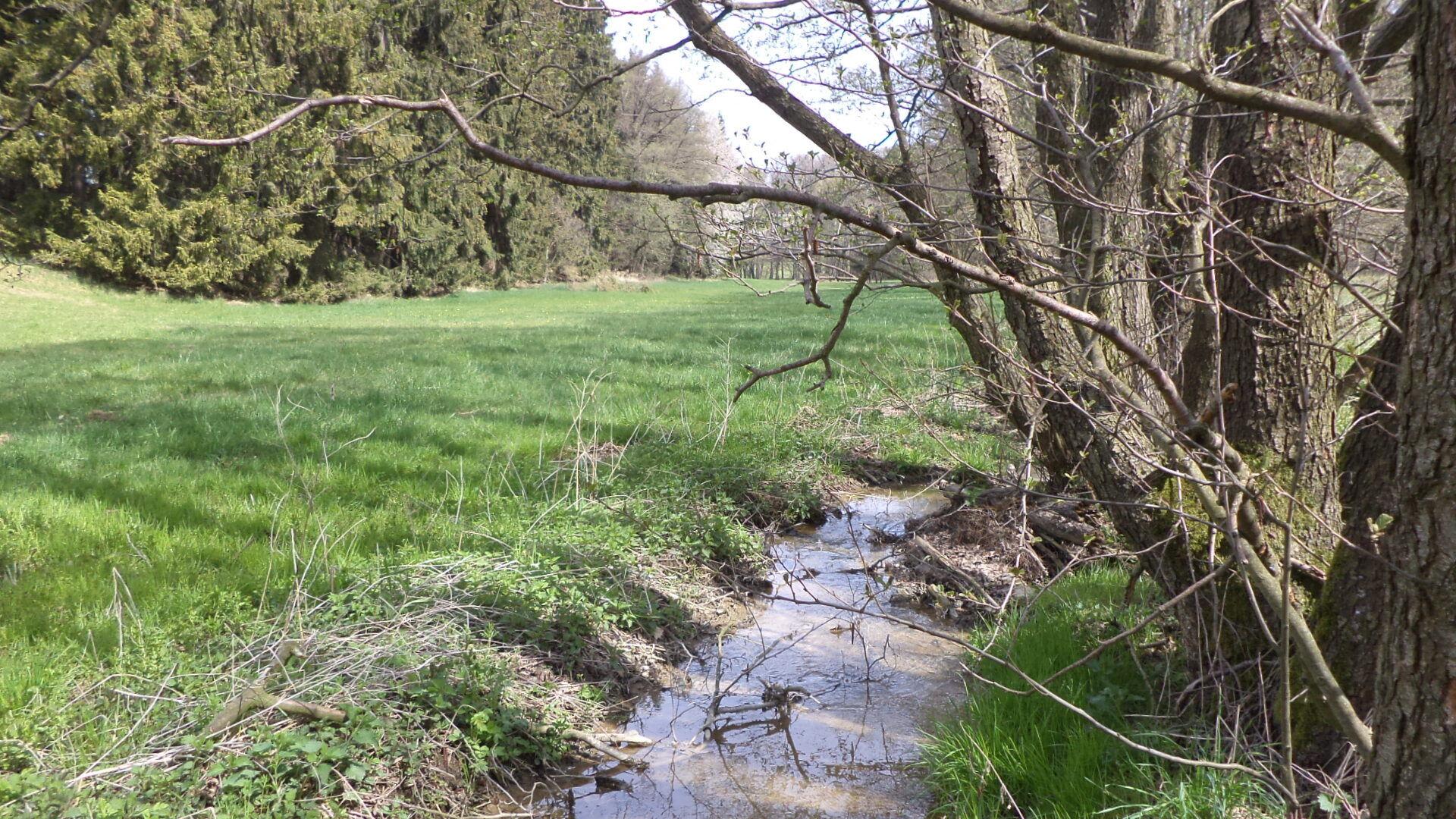 DRAŽBA pozemků Stupčice