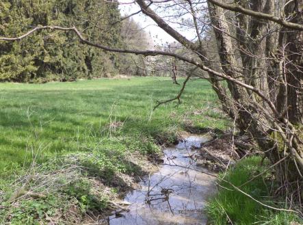 Prodej - pozemek, zemědělská půda, 8 388 m²