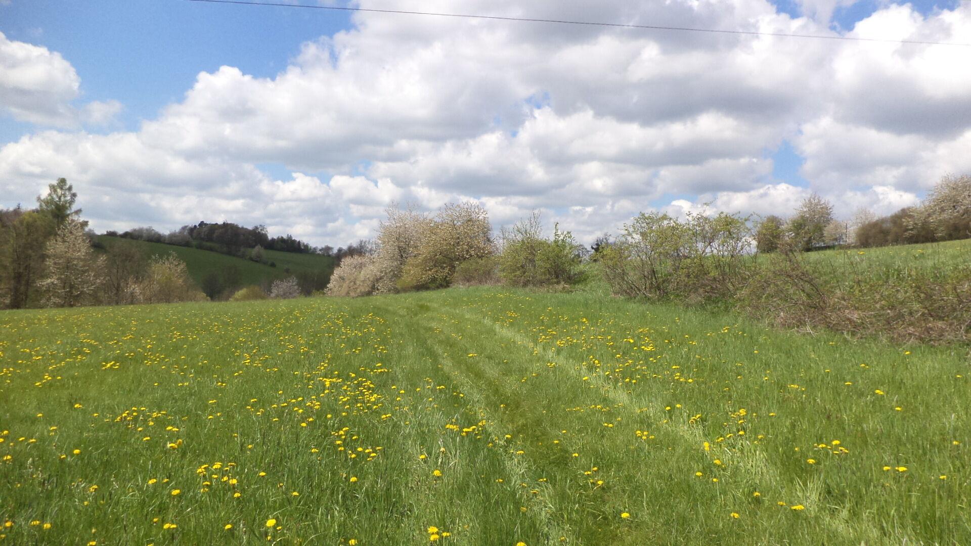 Dražba pozemků Vítkov