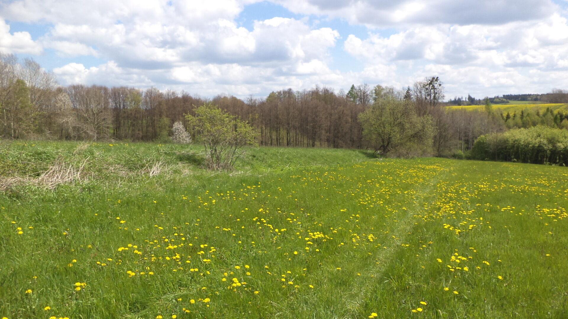 Dražba pozemků Vítkov