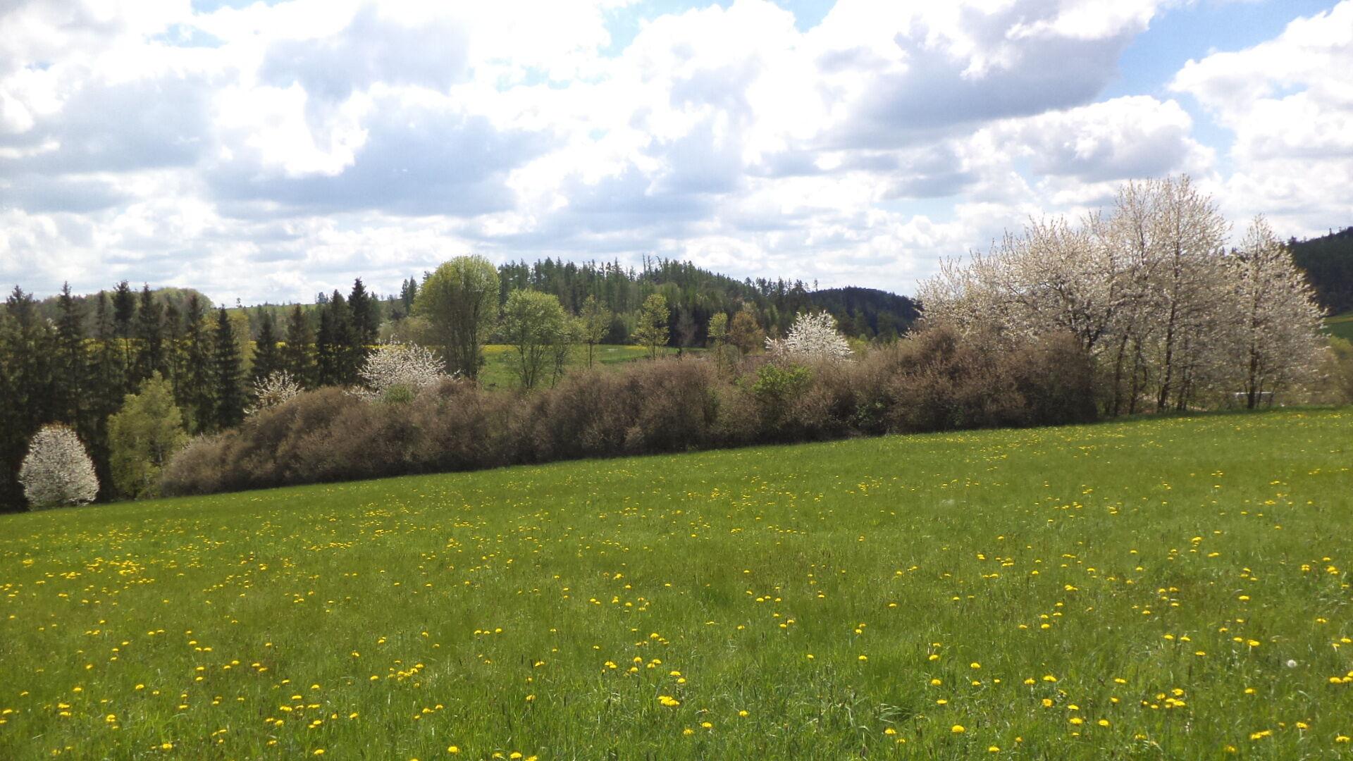 Dražba pozemků Vítkov