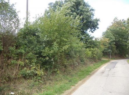 Prodej - pozemek, ostatní, 56 m²