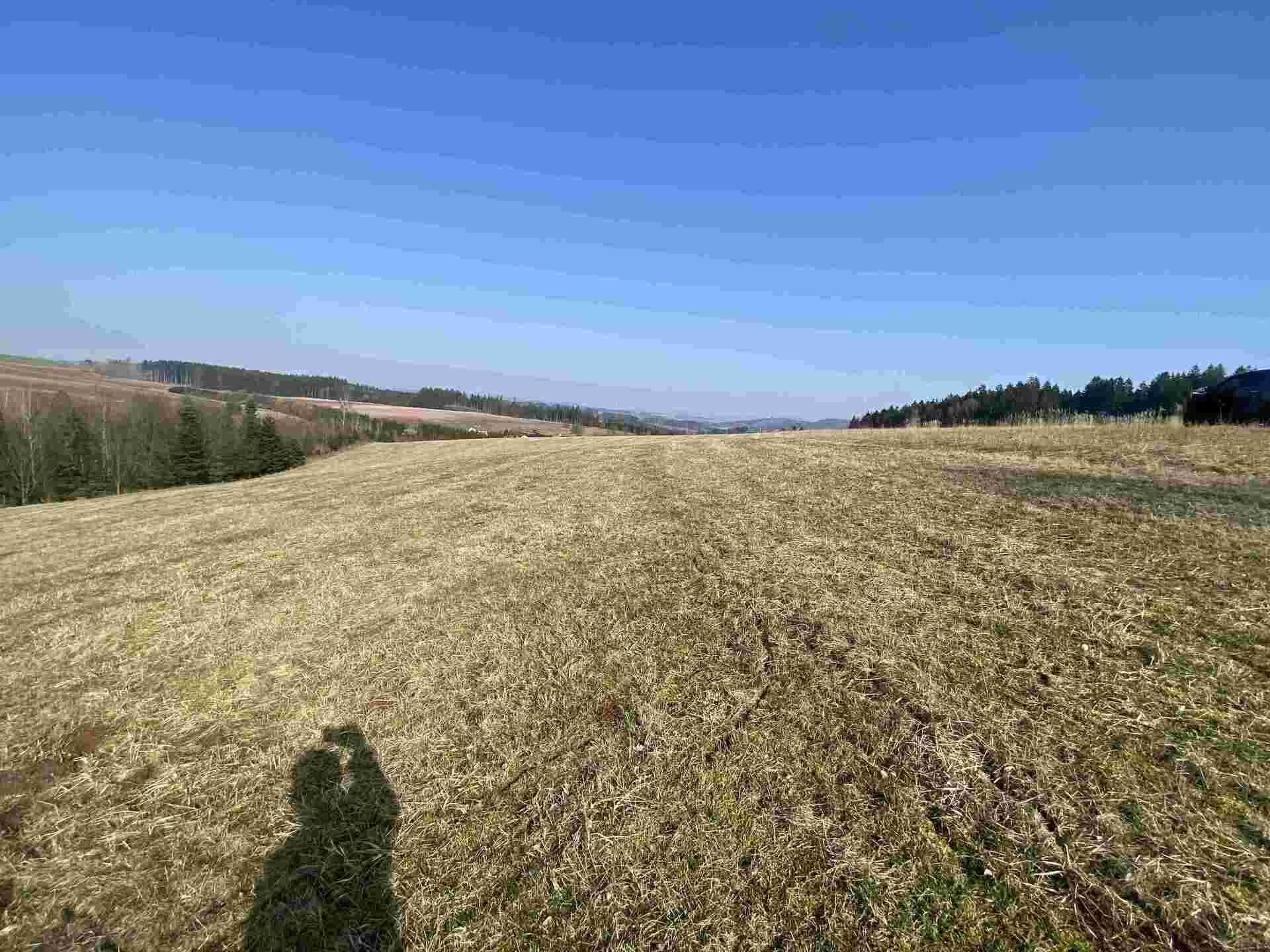 prodej pozemků Syřenov