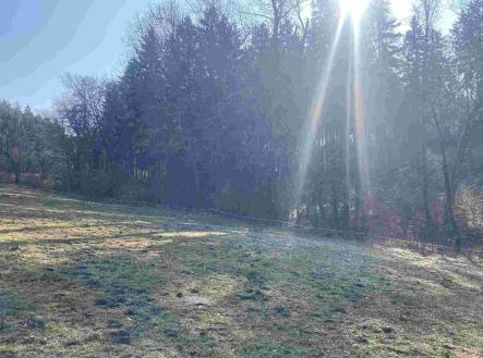 Prodej - pozemek, ostatní, 1 443 m²