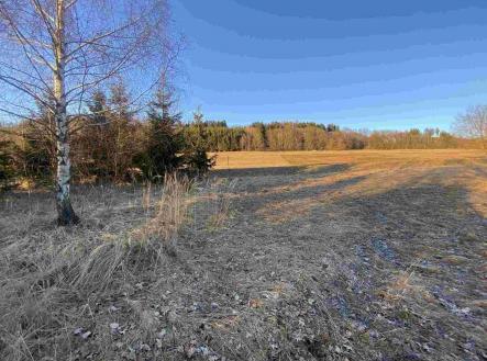 Prodej - pozemek, zemědělská půda, 885 m²