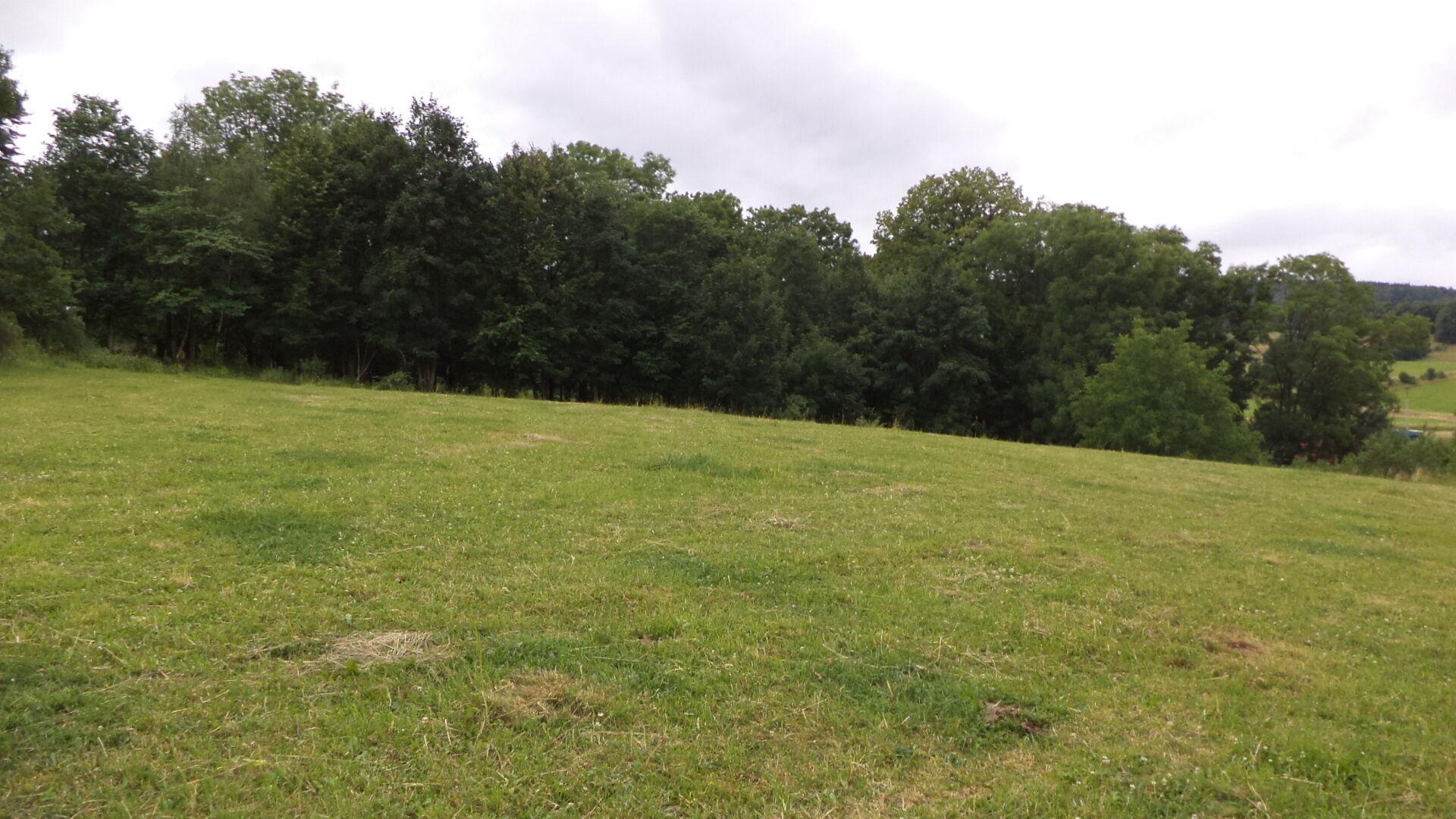 DRAŽBA pozemku Vlčice u Javorníka