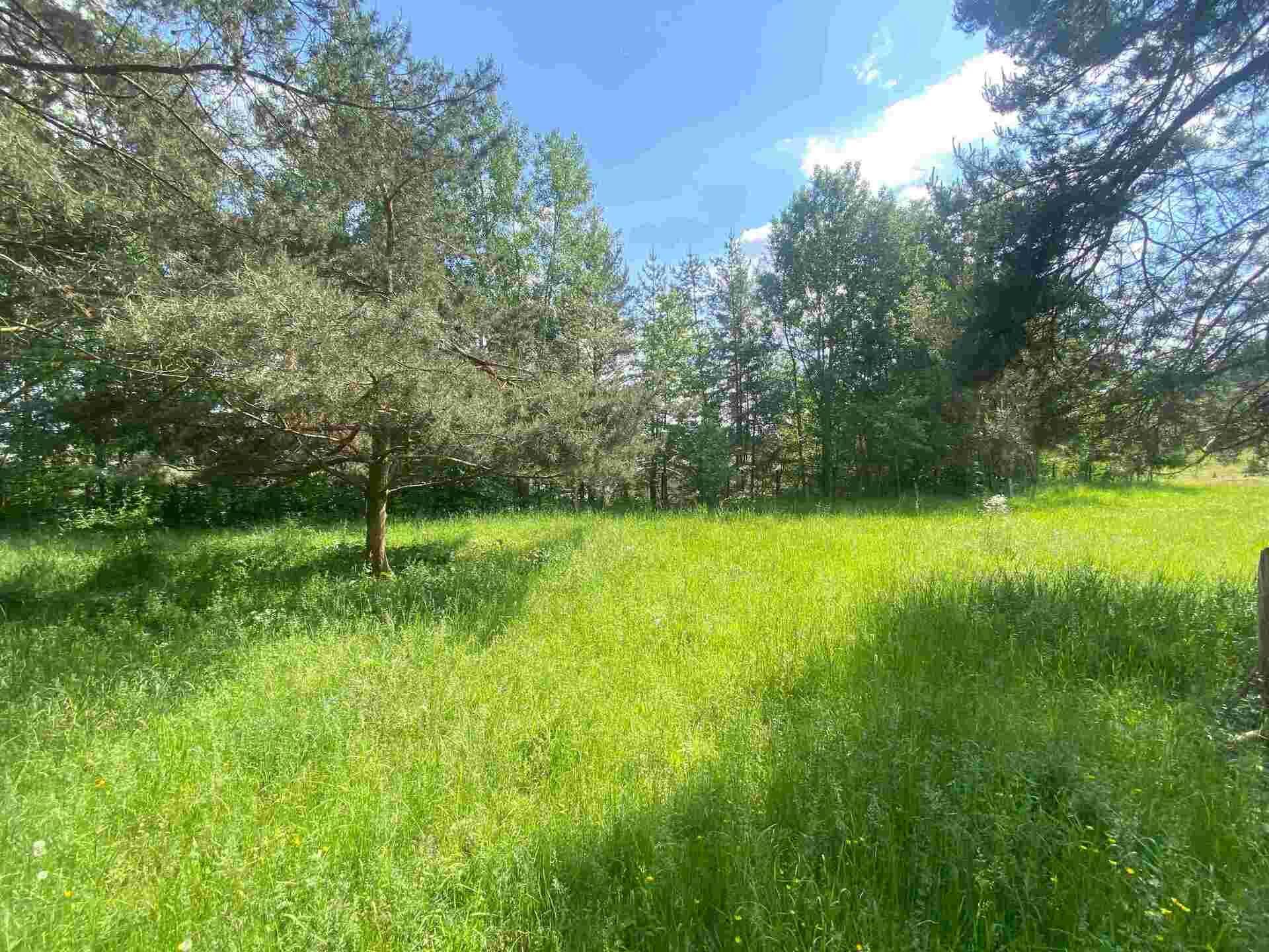 Dražba pozemku Býkov