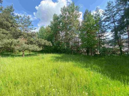 Prodej - pozemek, ostatní, 2 300 m²