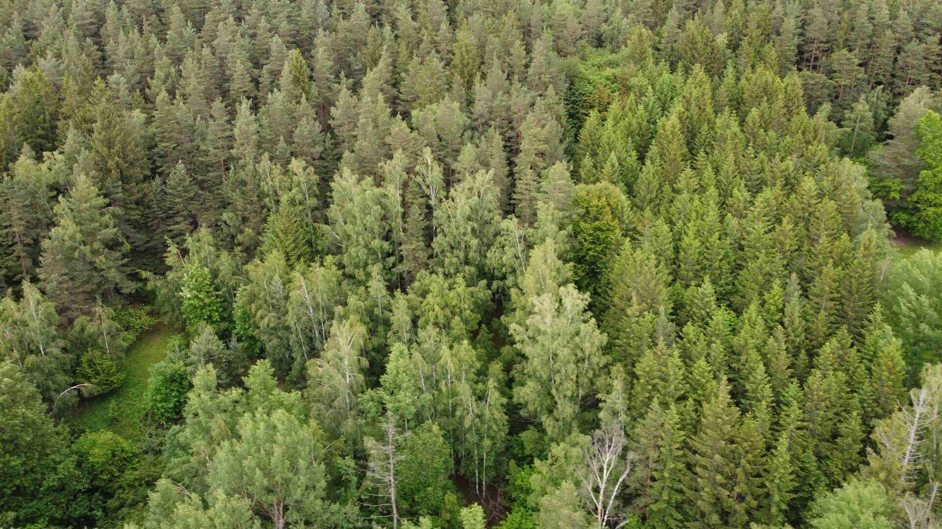 dražba pozemku k.ú. Rejštejn