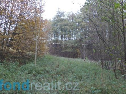 Prodej - pozemek, ostatní, 3 946 m² obrázek