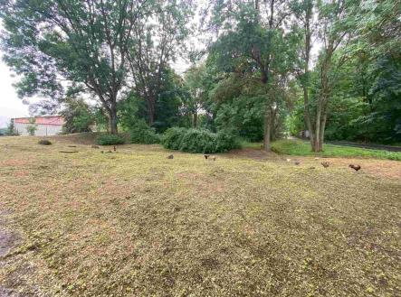 Prodej - pozemek, ostatní, 1 993 m²