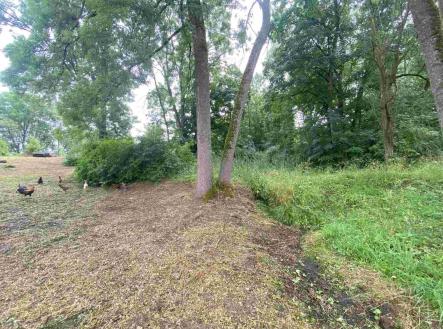 Prodej - pozemek, ostatní, 1 993 m²