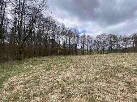 Prodej - pozemek, zemědělská půda, 692 m²