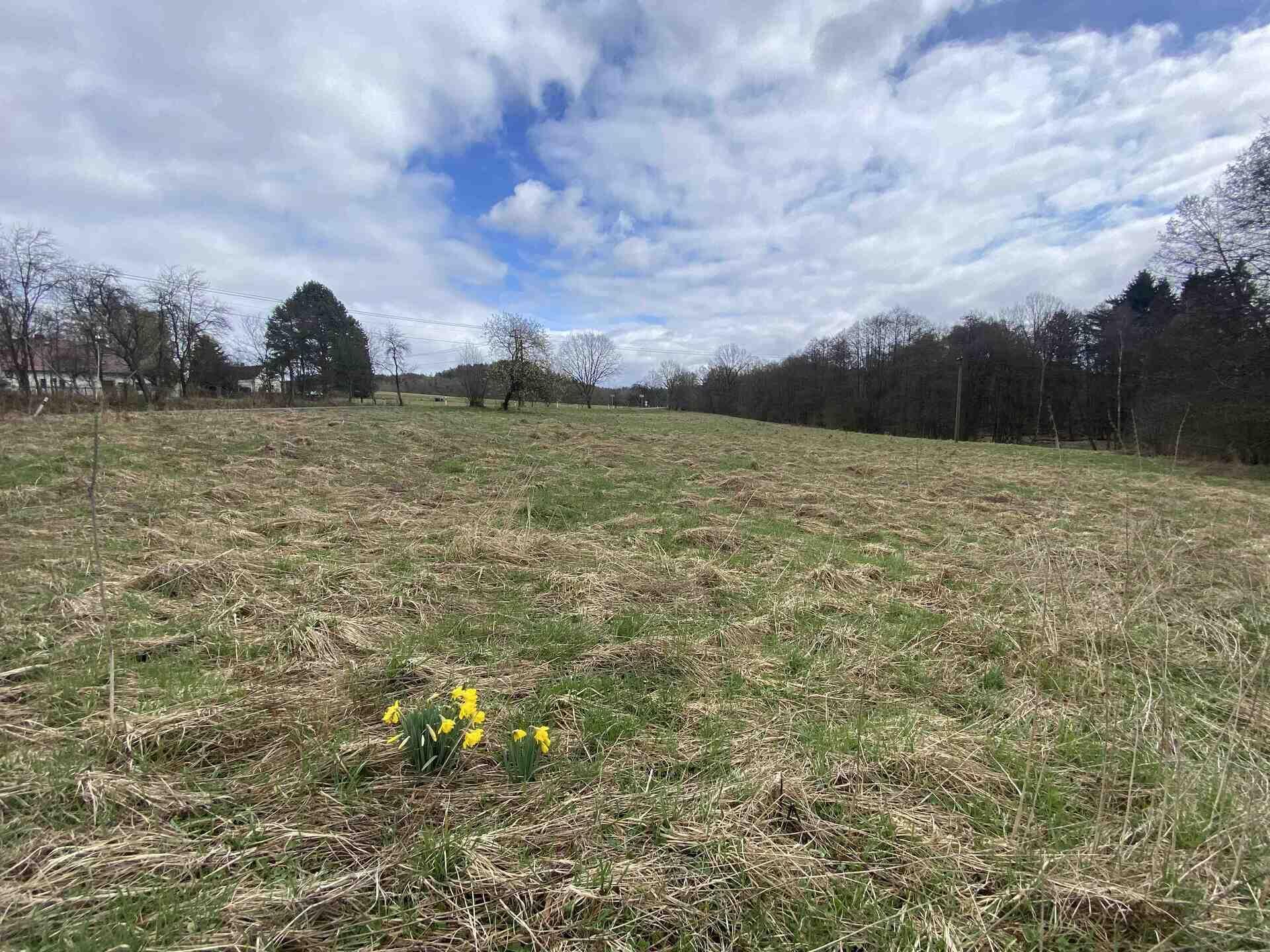 prodej pozemku Lvová