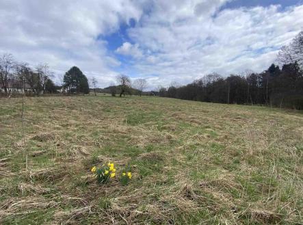 Prodej - pozemek, zemědělská půda, 692 m²