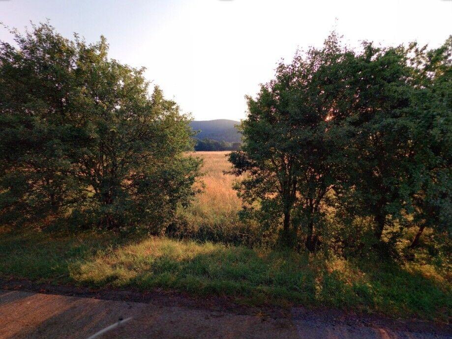 prodej pozemku Javorník u Českého Dubu