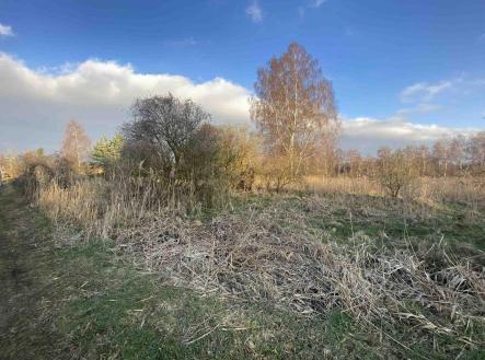 Prodej - pozemek, zemědělská půda, 2 866 m²