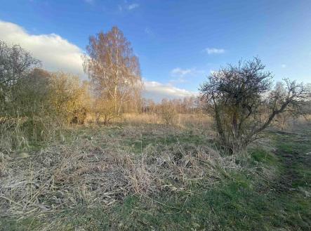Prodej - pozemek, zemědělská půda, 2 866 m²