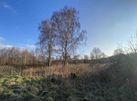 Prodej - pozemek, zemědělská půda, 2 866 m²