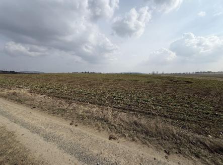 Prodej - pozemek, zemědělská půda, 25 962 m²