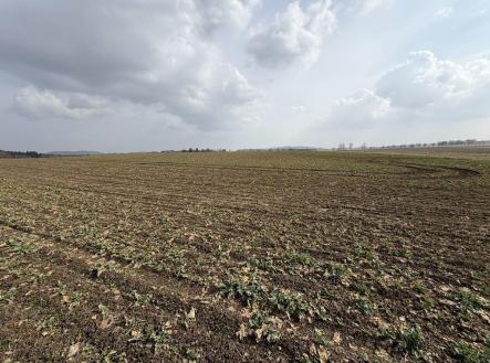 Prodej - pozemek, zemědělská půda, 25 962 m²