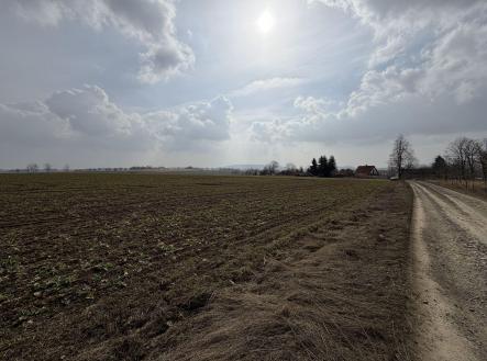 Prodej - pozemek, zemědělská půda, 25 962 m²