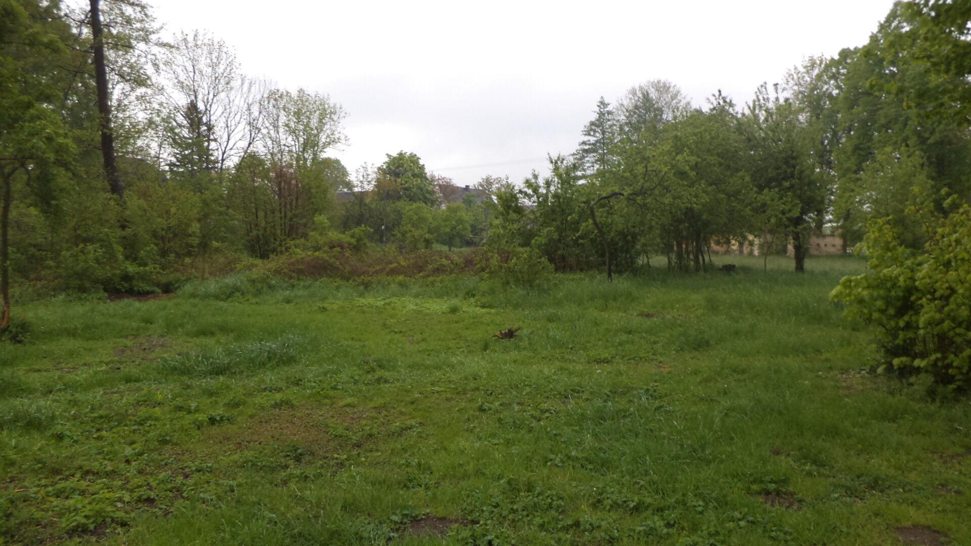 Prodej pozemku Vlčice u Javorníka, obec Vlčice