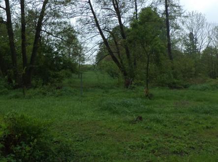 Prodej - pozemek, ostatní, 1 387 m²