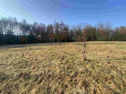 Prodej - pozemek, zemědělská půda, 5 206 m²