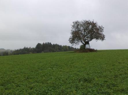 Prodej - pozemek, ostatní, 2 679 m²