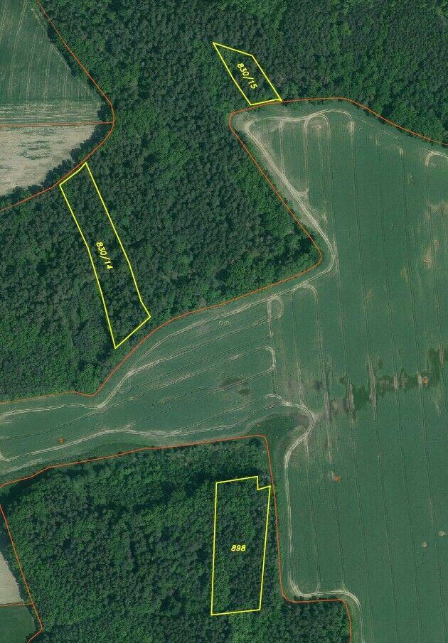 Prodej lesních pozemků Lipí