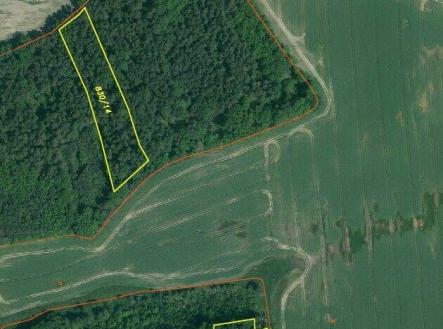 Prodej - pozemek, les, 23 659 m²