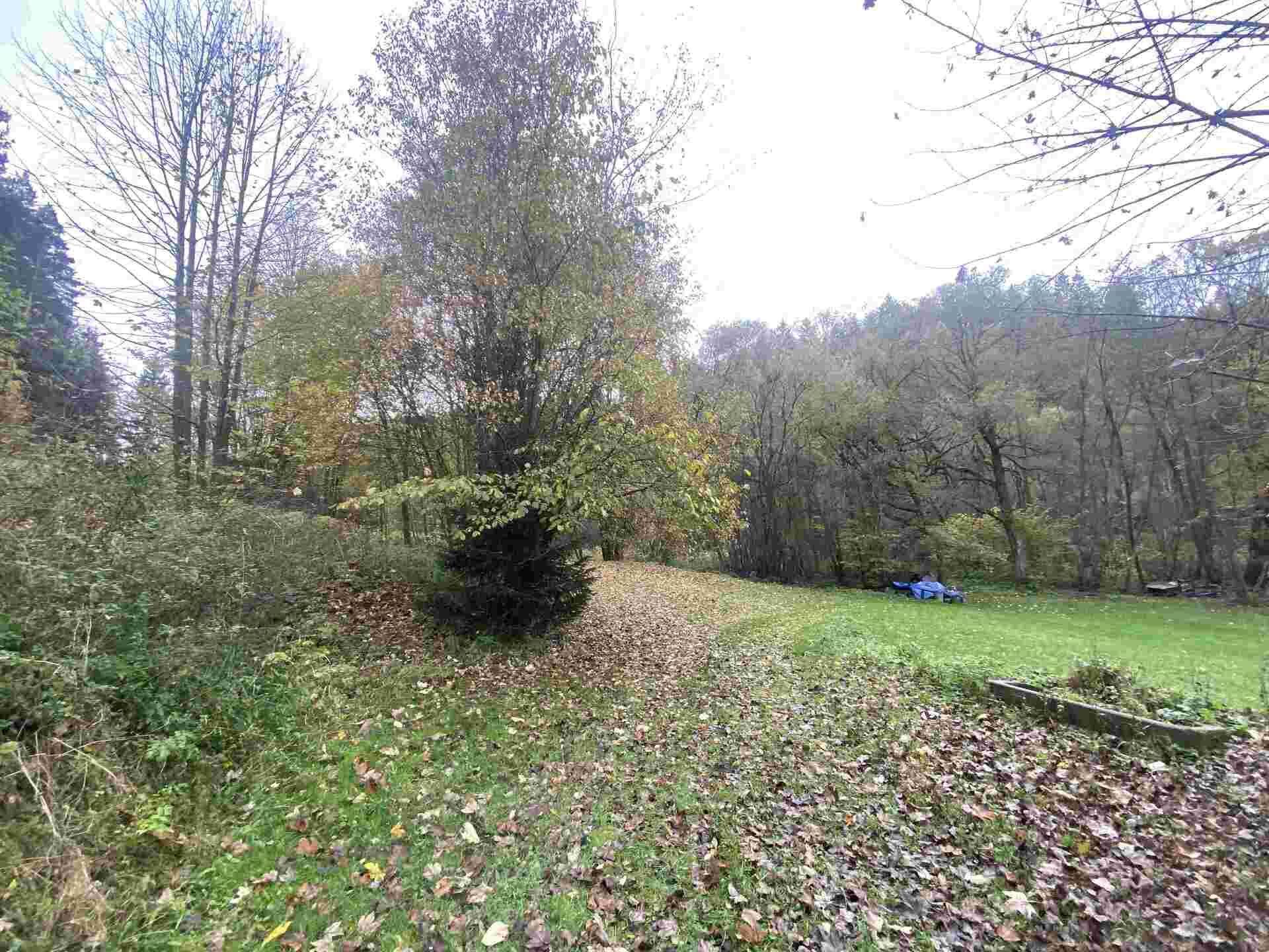 dražba pozemku Chlum u Hartmanic