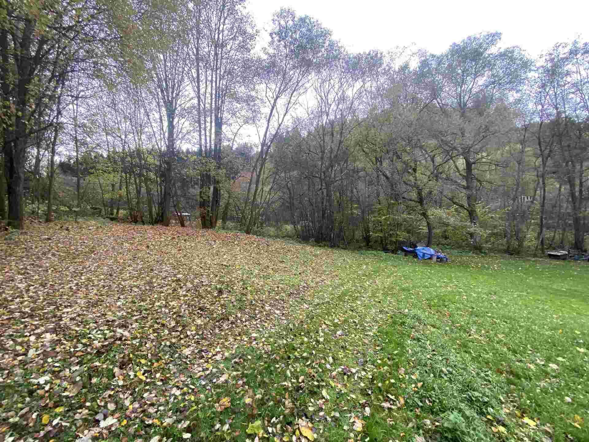 dražba pozemku Chlum u Hartmanic